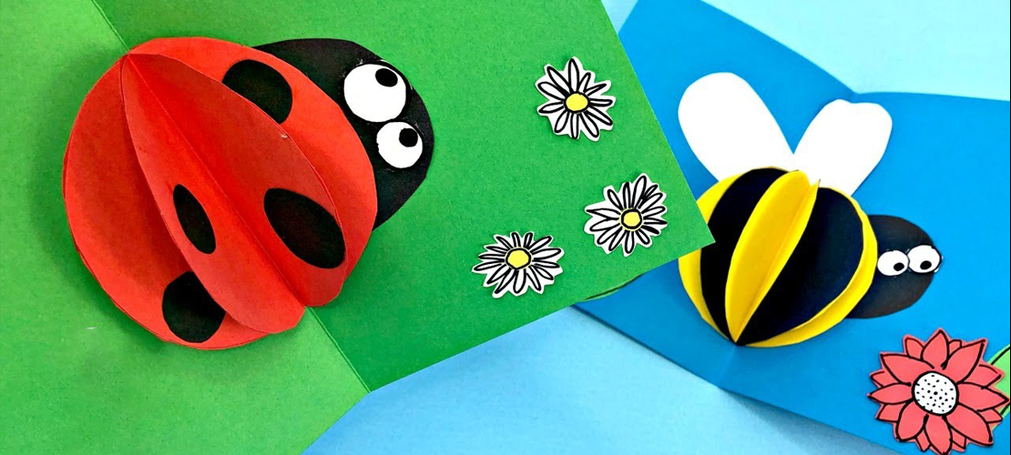  Médiathèque | Cartes pop-up